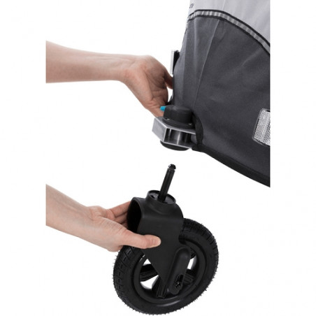 Trixie, ruota anteriore del buggy