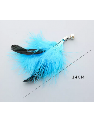 Plume de remplacement Turquoise