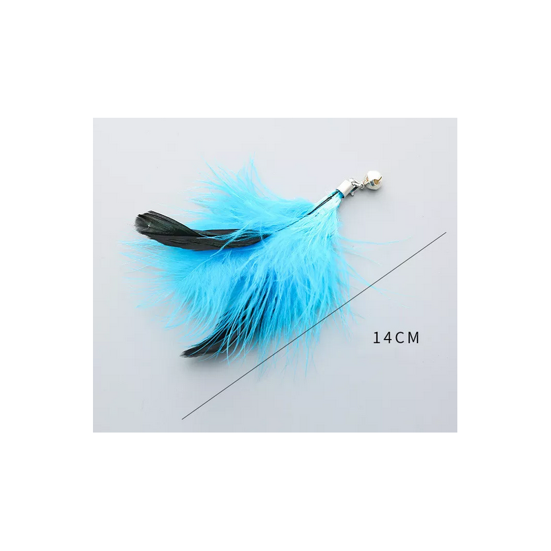 Plume de remplacement Turquoise