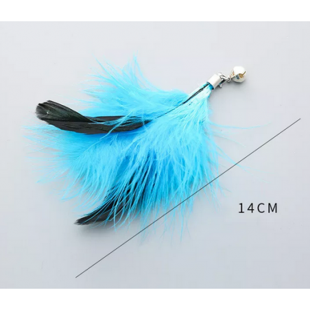 Plume de remplacement Turquoise