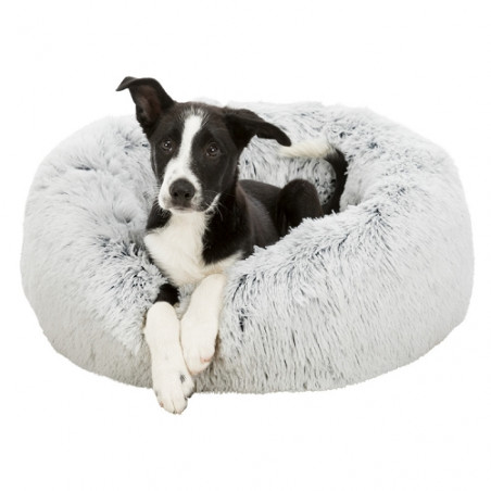 Trixie, Harvey Bed