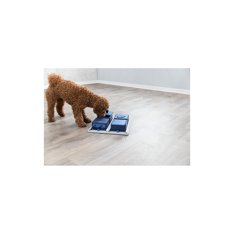 Trixie, Poker Box 1 Strategy Game