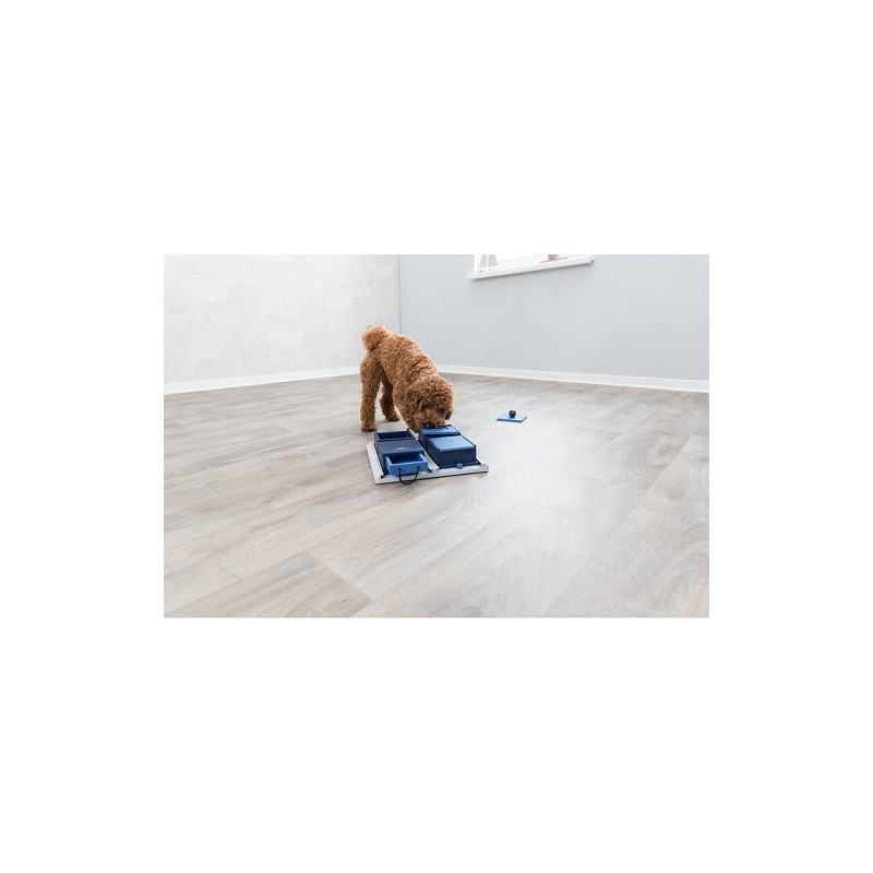 Trixie, Poker Box 1 Strategiespiel