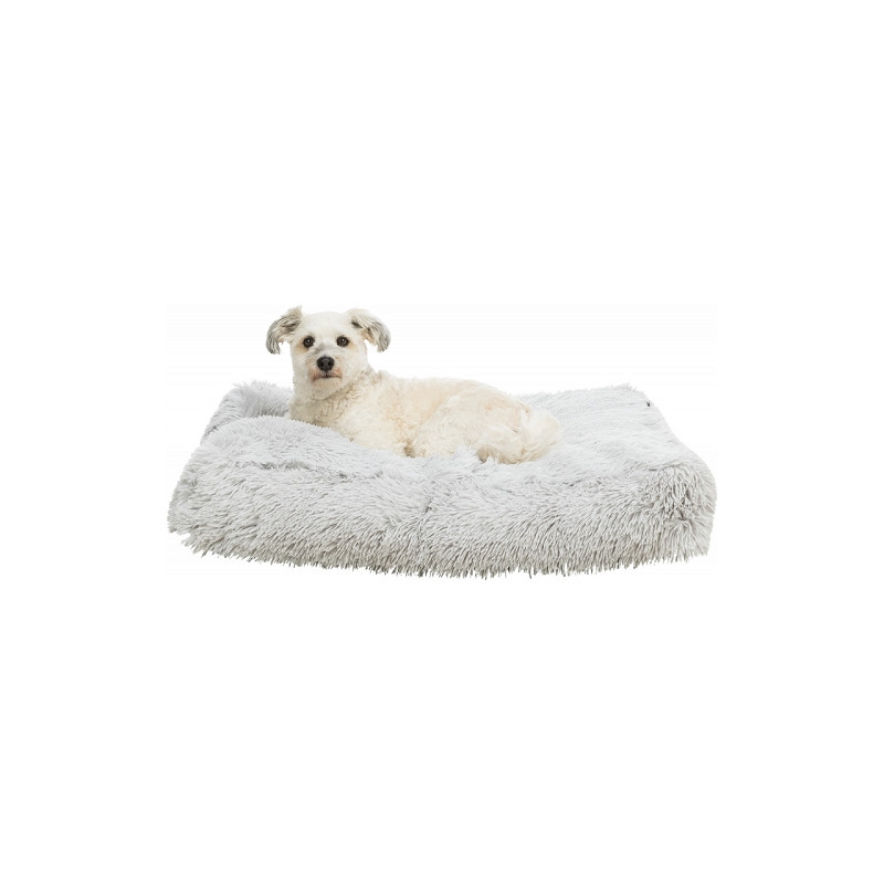 Trixie, Cuscino Sonny