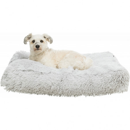 Trixie, Cuscino Sonny