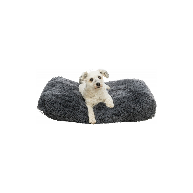 Trixie, Sonny Cushion