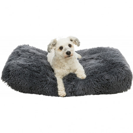 Trixie, Cuscino Sonny