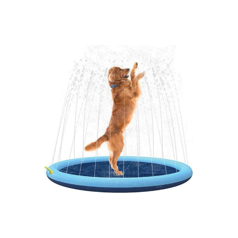 Divers, piscina a getto per cani Divers, piscina a getto per cani