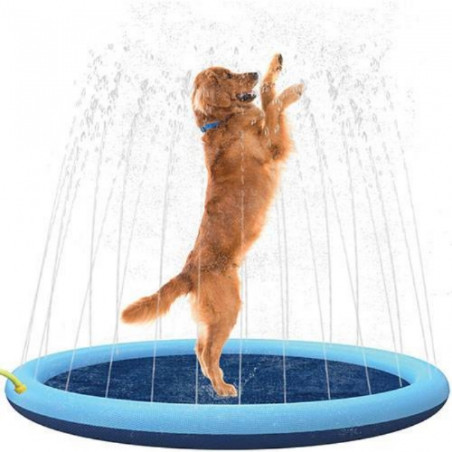 Piscine à jets pour chien