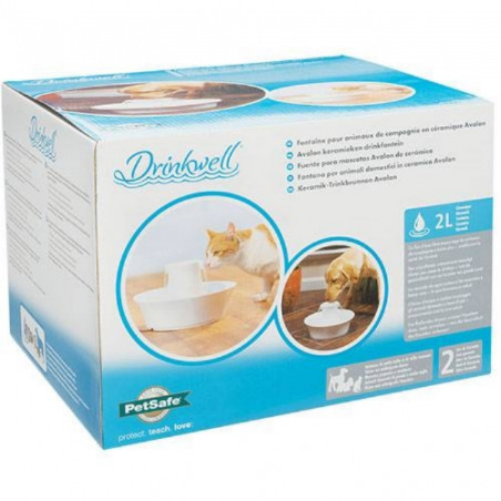 Drinkwell, Fontana in ceramica di Avalon