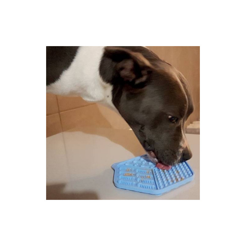 Doogy, Lick Matte Blue