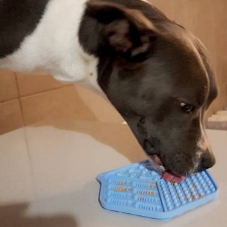 Doogy, Lecca blu opaco