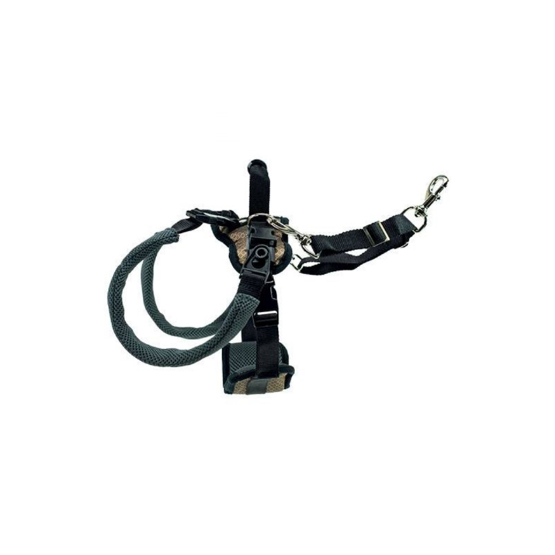 Divers, Cablaggio di sollevamento posteriore CareLift