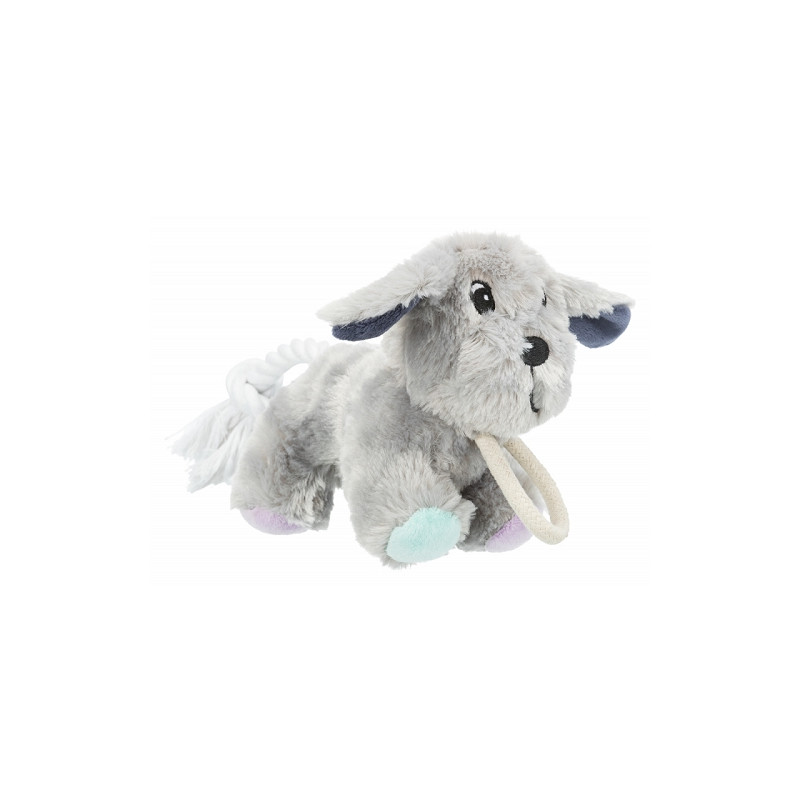 Trixie, Junior Chien Trixie, Junior Chien