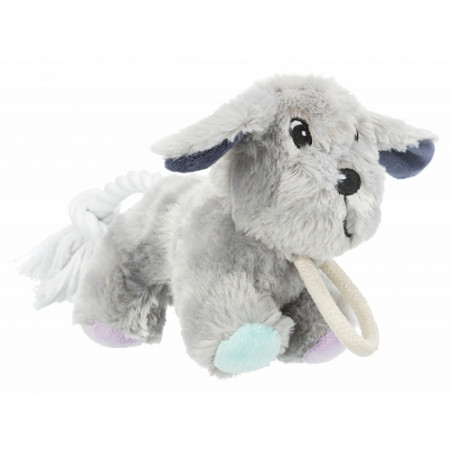 Trixie, Junior Chien