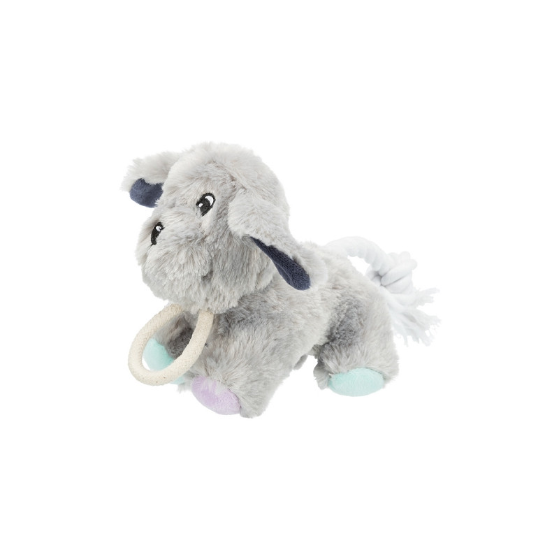 Trixie, Junior Chien