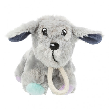 Trixie, Junior Dog