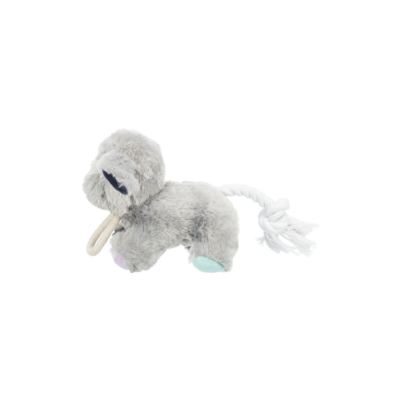 Trixie, Junior Chien