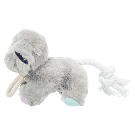 Trixie, Junior Chien