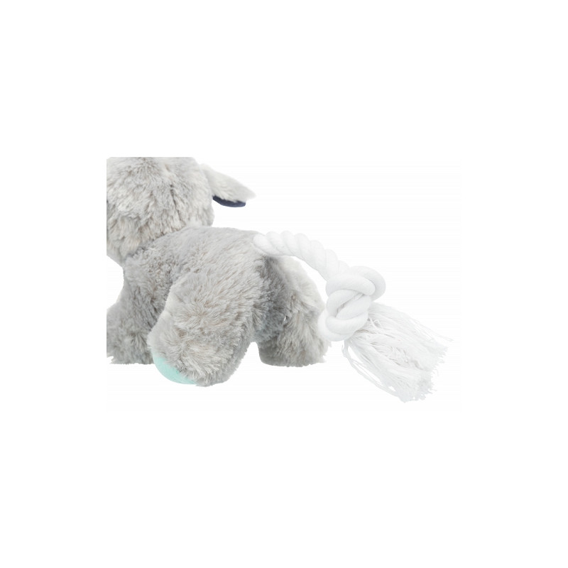 Trixie, Cane giovane