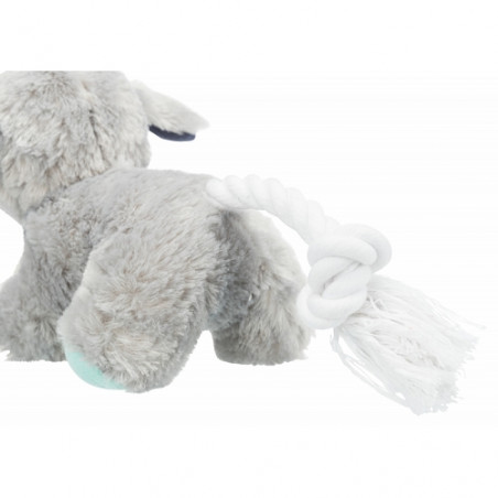 Trixie, Cane giovane