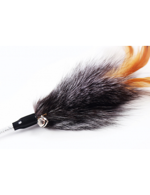 Fox Cat Feather