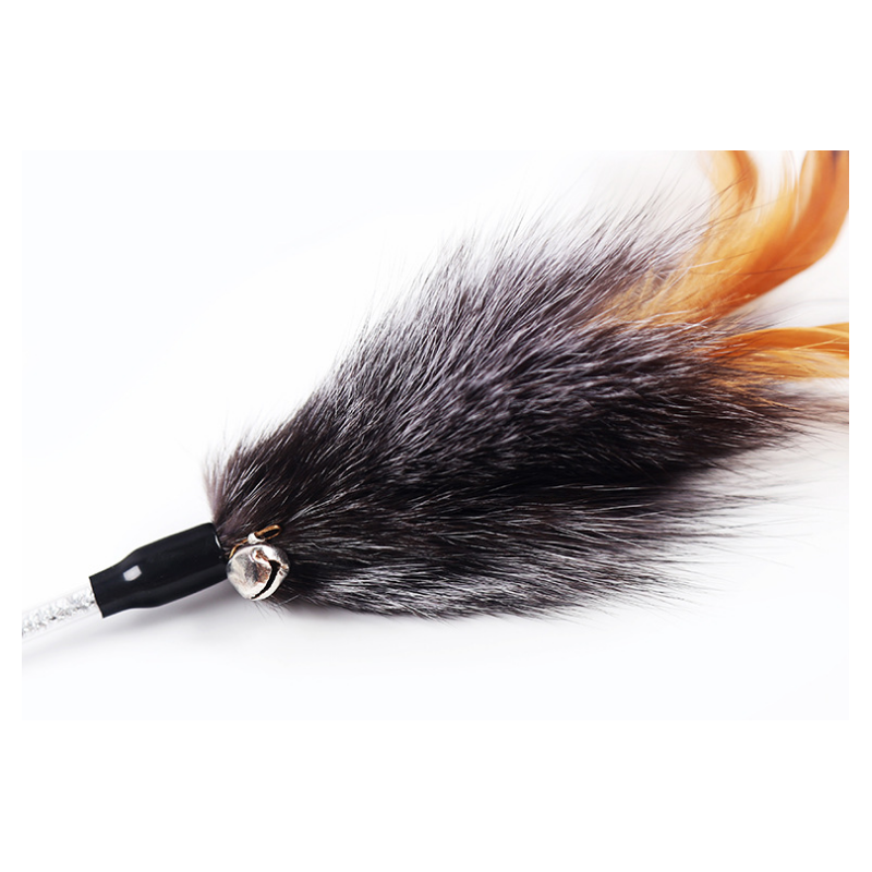 Pluma de gato zorro