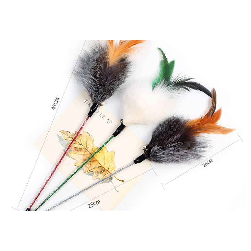 Fox Cat Feather
