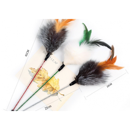 Pluma de gato zorro