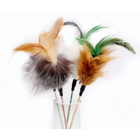 Fox Cat Feather