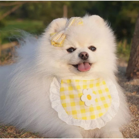 Bib for dog and cat