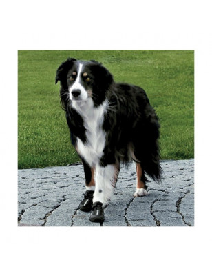 Bottes de protection pour chien walker active