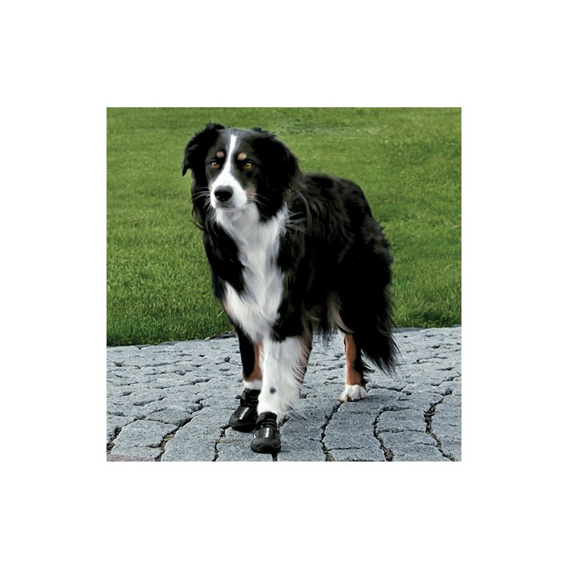 Bottes de protection pour chien walker active