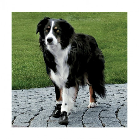 Bottes de protection pour chien walker active