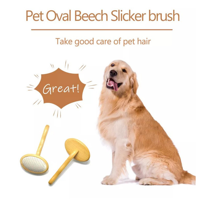 PBS, Carde Pro Ovale pour chien et chat