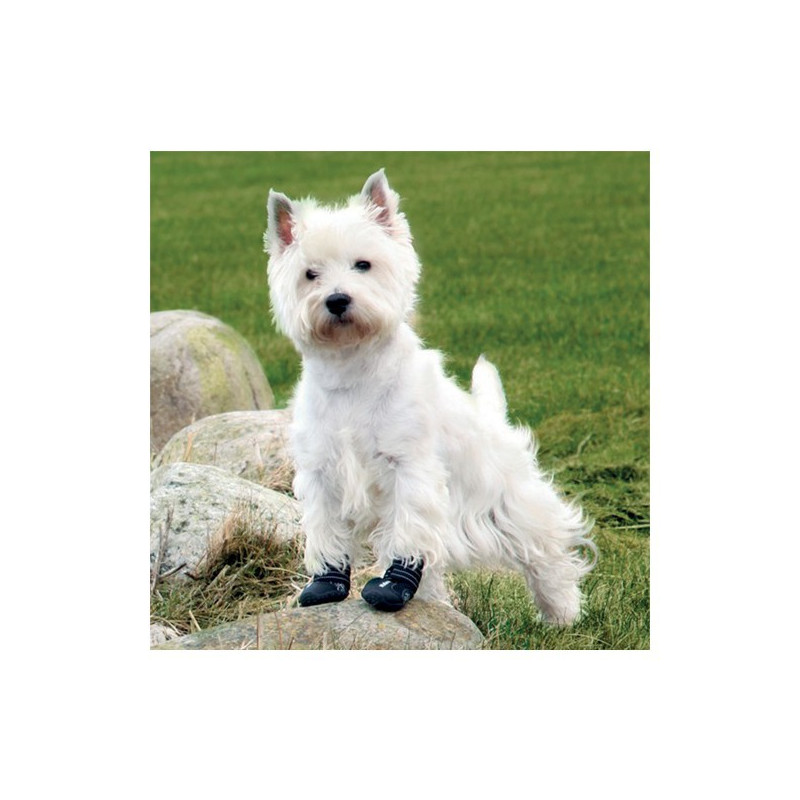 Bottes de protection pour chien walker active