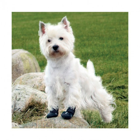 Bottes de protection pour chien walker active
