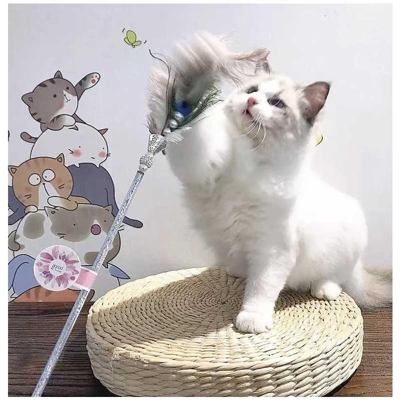 Kleopatra-Katzenfeder