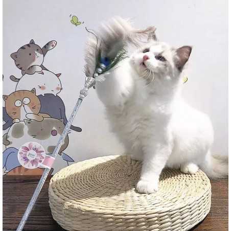 Piuma di gatto Cleopatra