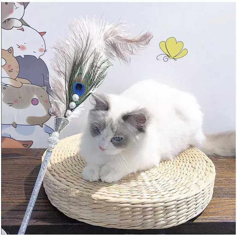 Kleopatra-Katzenfeder