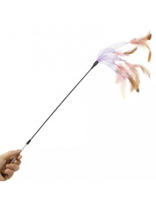 Fuchsia Cat Feather Toy