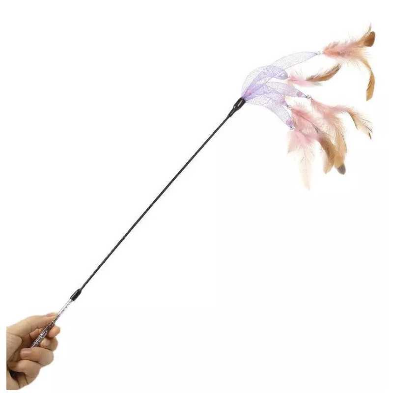 Fuchsia Cat Feather Toy