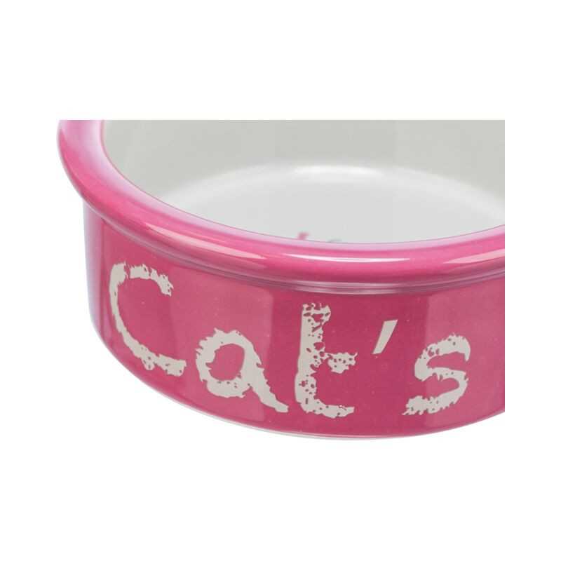 Cat's Trixie Cat Bowl