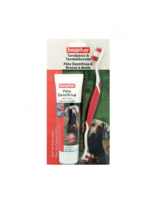 Brosse à dents et dentifrice pour chien