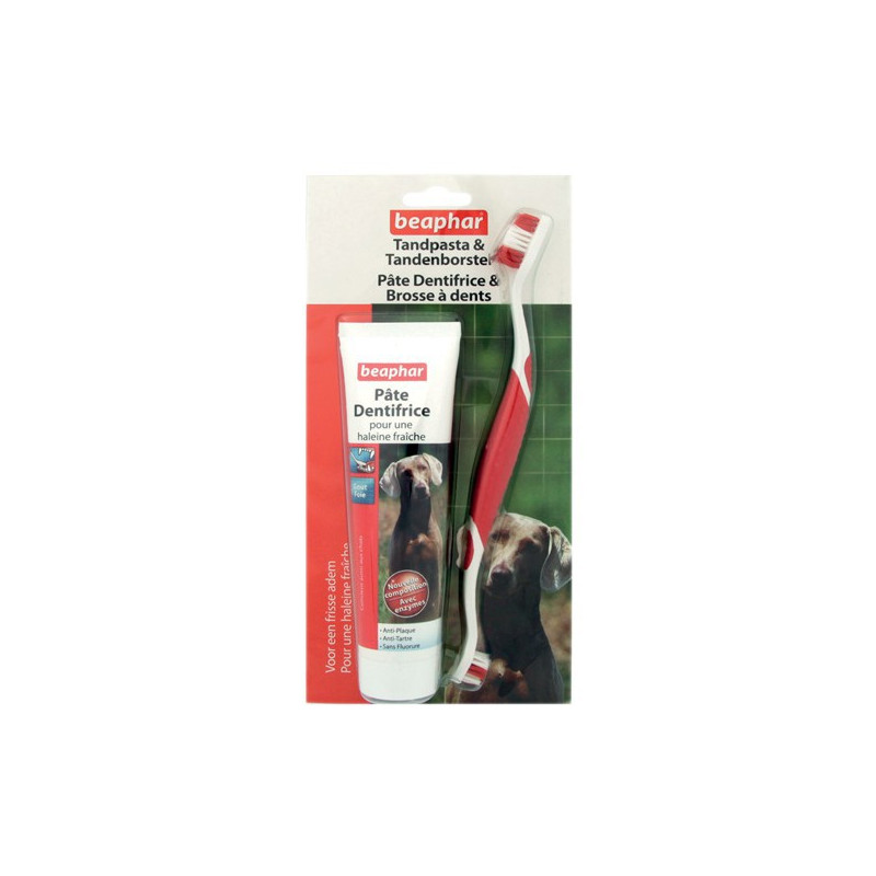 Brosse à dents et dentifrice pour chien