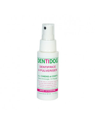 Dentifrice en spray Dentidog