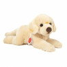 Peluche Labrador sable par Hermann Teddy