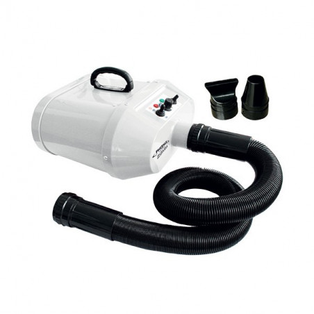 Professioneller tragbarer Haartrockner Phoenix Universel Z
