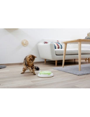 Jouet pour chat interactif  Pompom