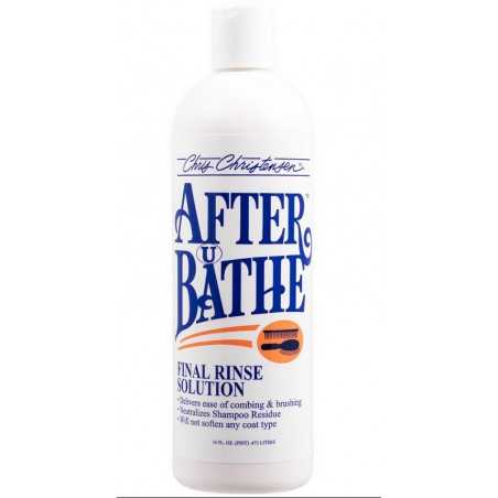 Chris Christensen, After U Bathe